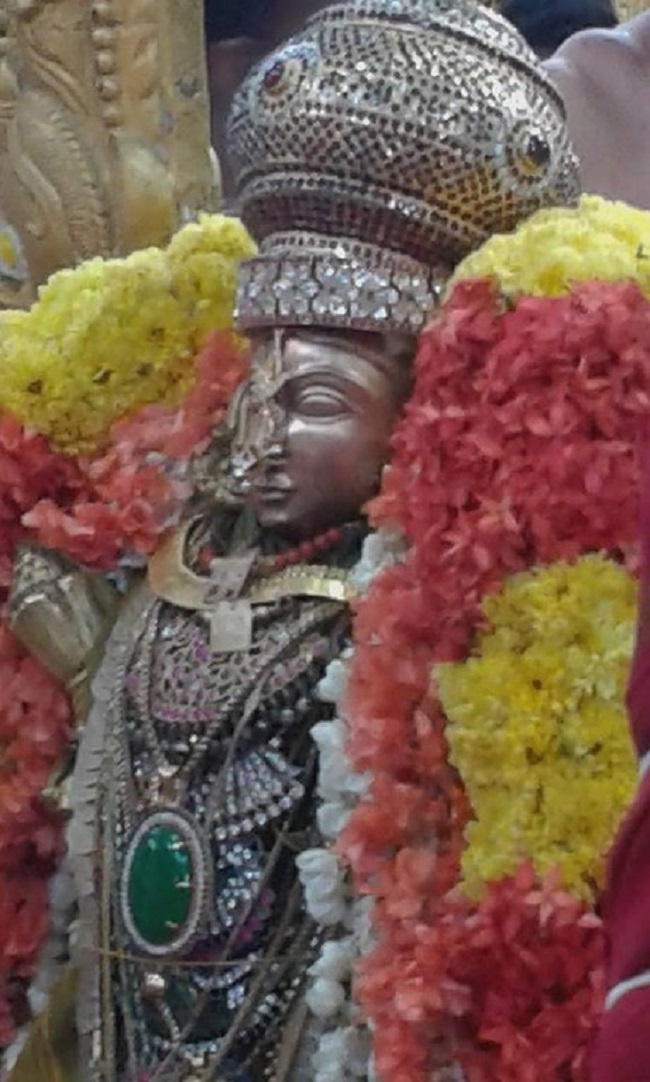 Mylapore SVDD Srinivasa Perumal Temple  Sri Andal Neerattu Utsavam5