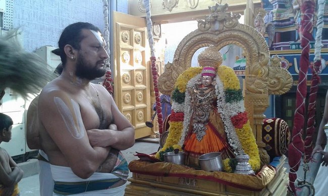 Mylapore SVDD Srinivasa Perumal Temple Sri Andal Neerattu Utsavam5
