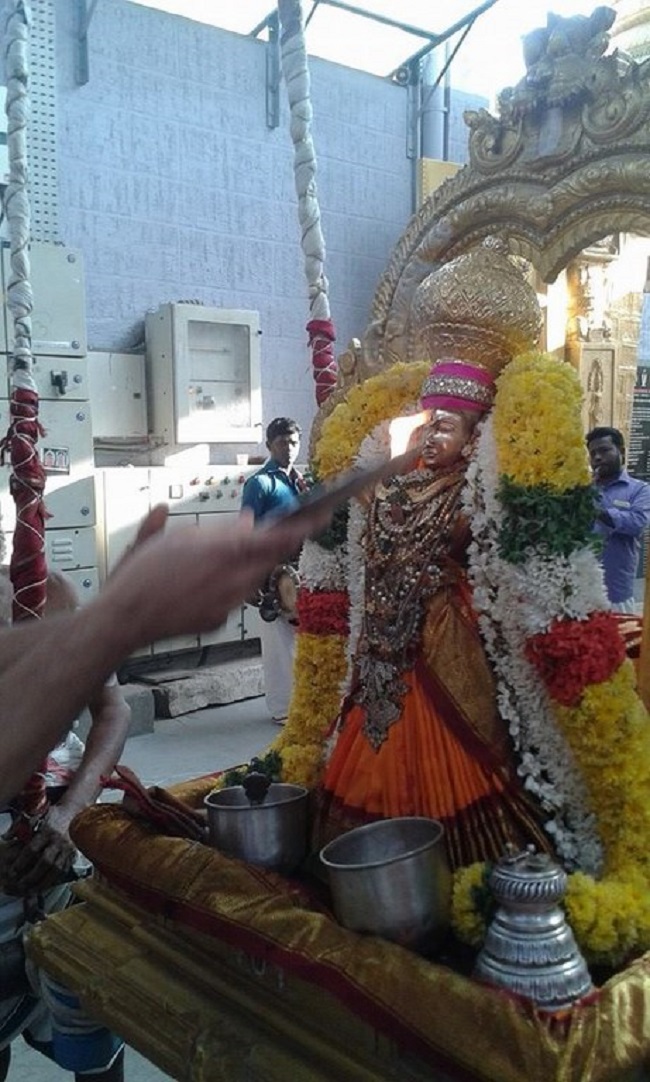 Mylapore SVDD Srinivasa Perumal Temple Sri Andal Neerattu Utsavam6