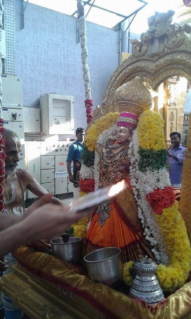 Mylapore SVDD Srinivasa Perumal Temple Sri Andal Neerattu Utsavam7