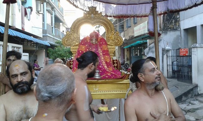 Mylapore SVDD Srinivasa Perumal Temple  Sri Andal Neerattu Utsavam9
