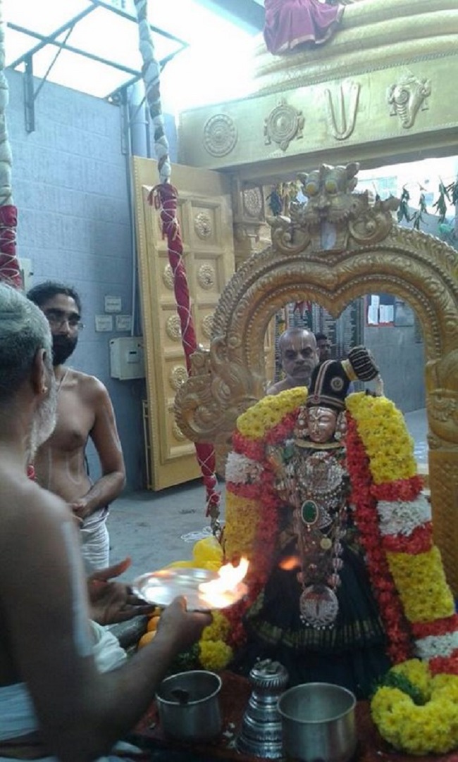 Mylapore SVDD Srinivasa Perumal Temple Sri Andal Neerattu Utsavam9