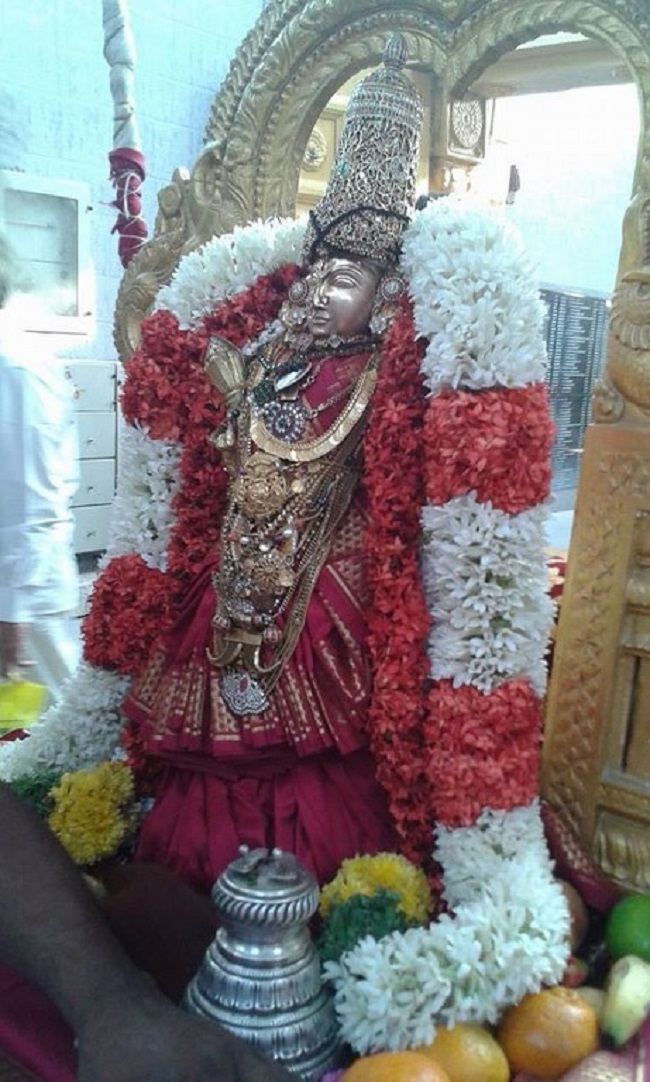 Mylapore SVDD Srinivasa Perumal Temple Sri Andal Neerattu Utsavam9