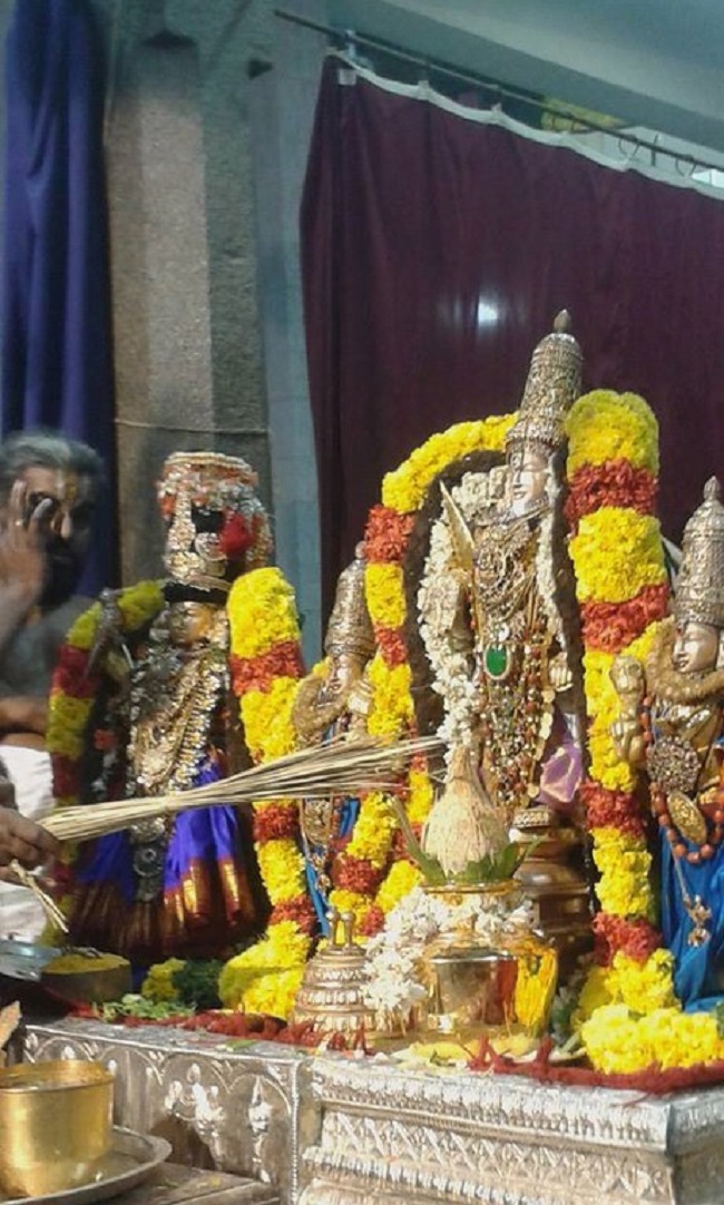 Mylapore SVDD Srinivasa Perumal Temple Sri Andal Thirukalyana Utsavam16