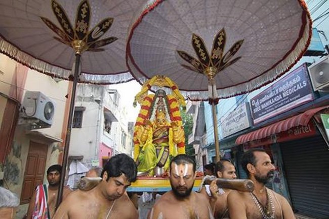 Mylapore SVDD Srinivasa Perumal Temple Vaikunda Ekadasi Utsavam3