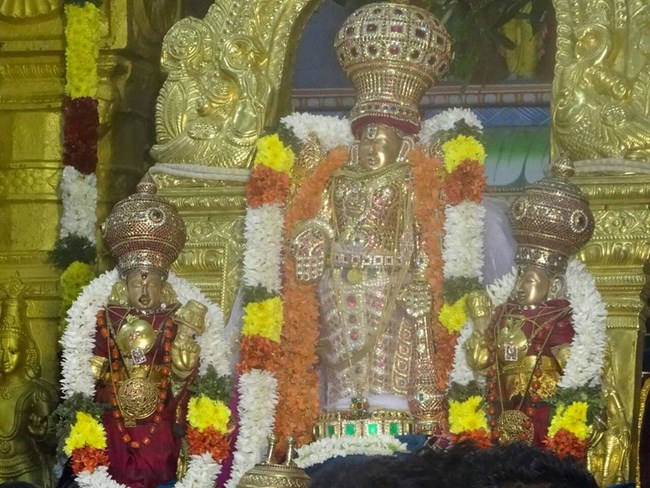 Mylapore SVDD Srinivasa Perumal Temple Vaikunda Ekadasi Utsavam4
