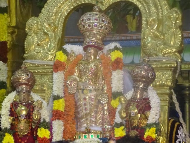 Mylapore SVDD Srinivasa Perumal Temple Vaikunda Ekadasi Utsavam8