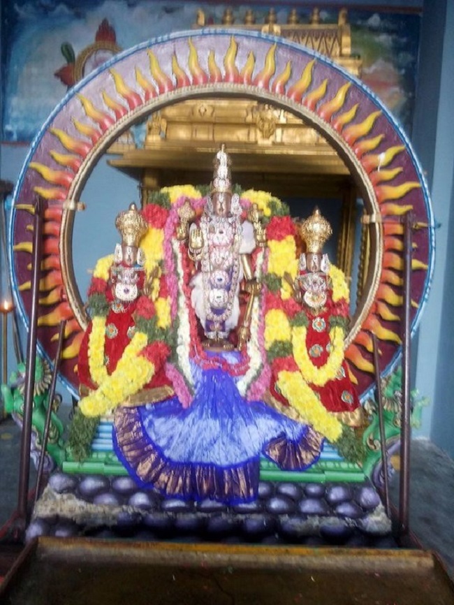 Mylapore Sri Madhava Perumal Temple Rathasapthami Purappadu10