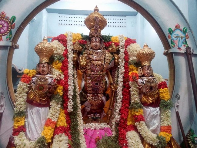 Mylapore Sri Madhava Perumal Temple Rathasapthami Purappadu11