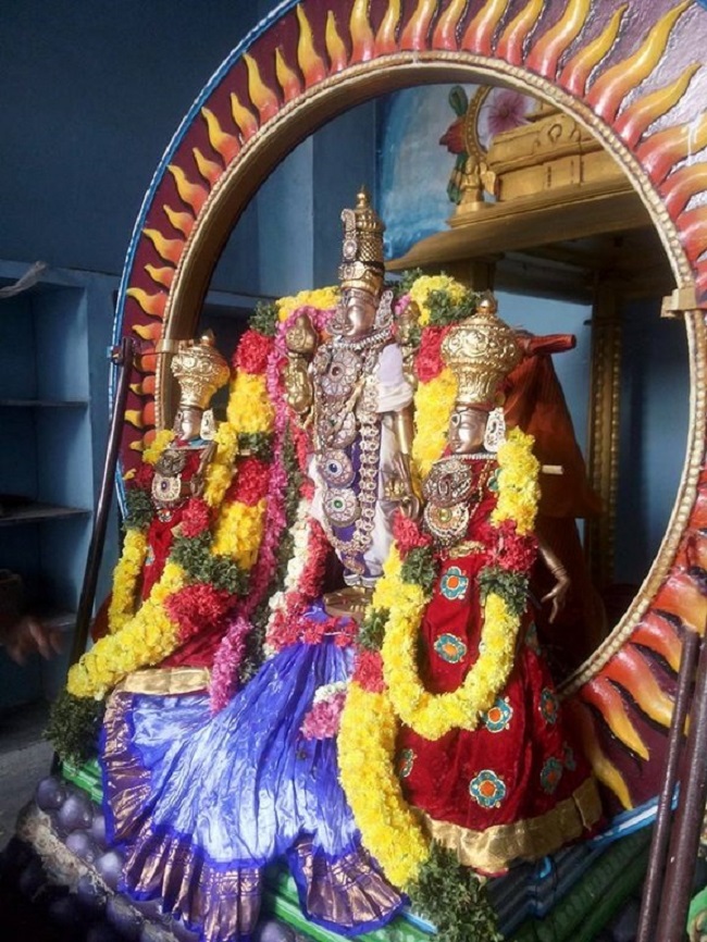 Mylapore Sri Madhava Perumal Temple Rathasapthami Purappadu3