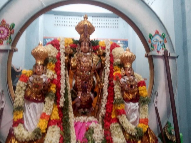 Mylapore Sri Madhava Perumal Temple Rathasapthami Purappadu7