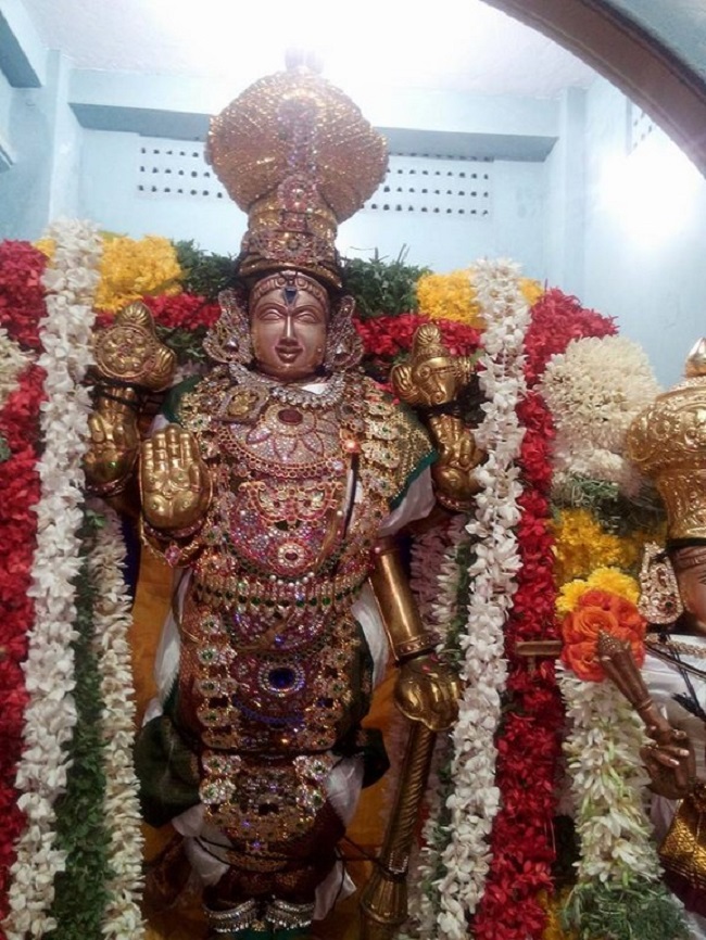 Mylapore Sri Madhava Perumal Temple Rathasapthami Purappadu8