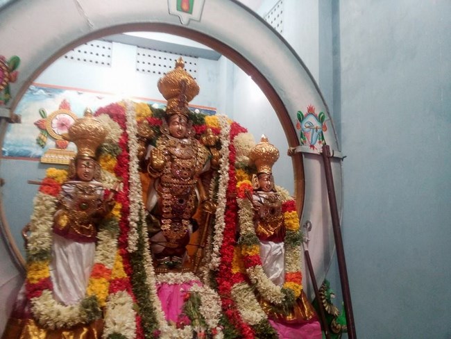 Mylapore Sri Madhava Perumal Temple Rathasapthami Purappadu9