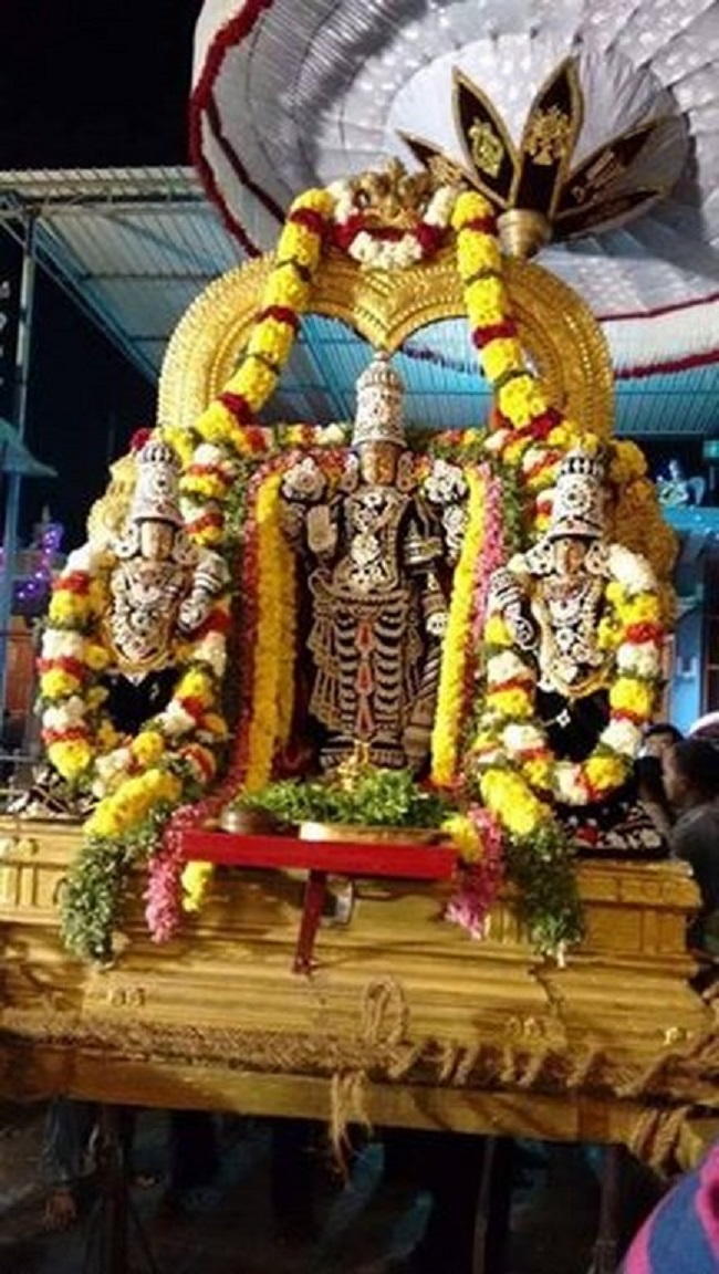Mylapore Sri Madhava Perumal Temple Vaikunda Ekadasi Utsavam11