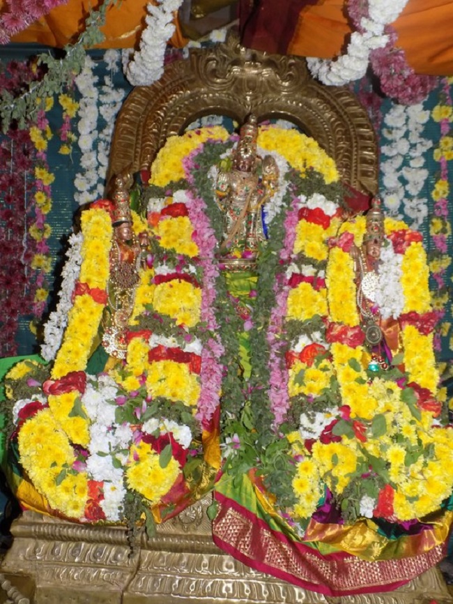 Nanganallur Sri Lakshmi Hayavadhana Perumal Temple  Vaikunda Ekadasi Utsavam1
