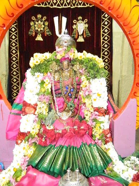 PV Kalathur Sri Lakshmi Narasimha Perumal Temple Rathasapthami Purappadu 2015-02
