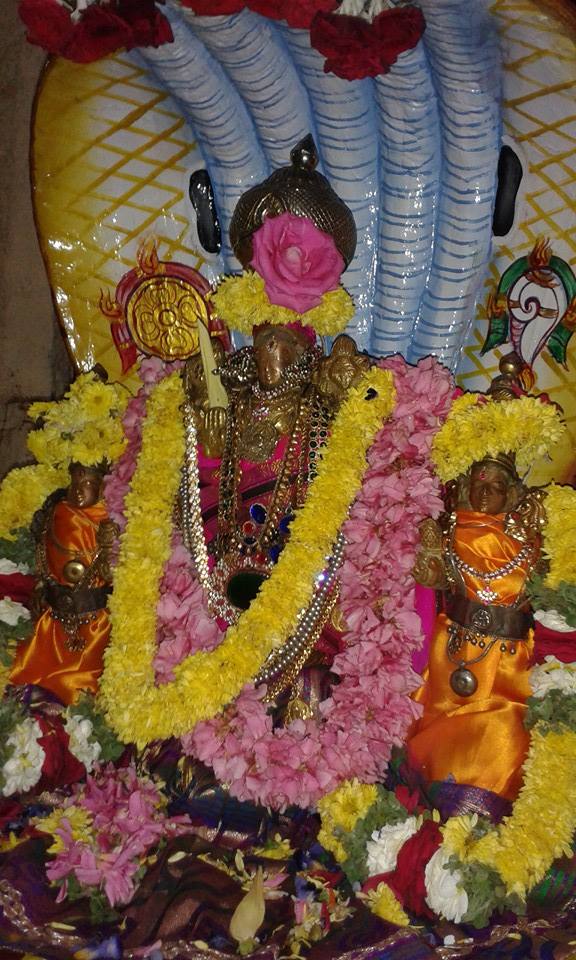 PV Kalathur Sri Lakshmi Narasimha Perumal Temple Rathasapthami Purappadu 2015-03