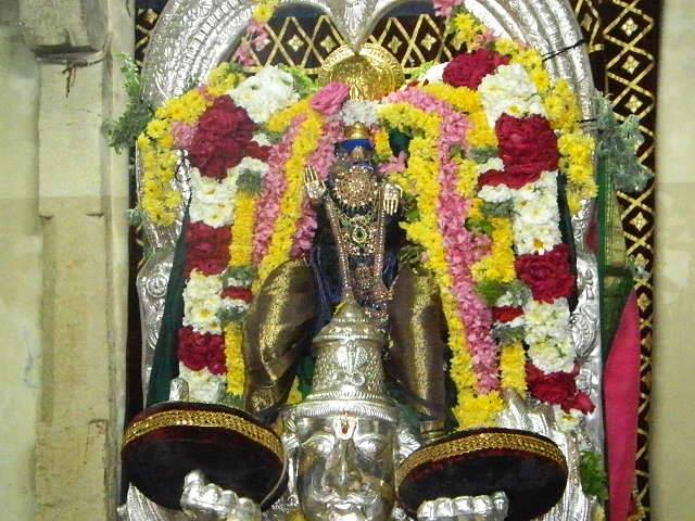 PV Kalathur Sri Lakshmi Narasimha Perumal Temple Rathasapthami Purappadu 2015-13