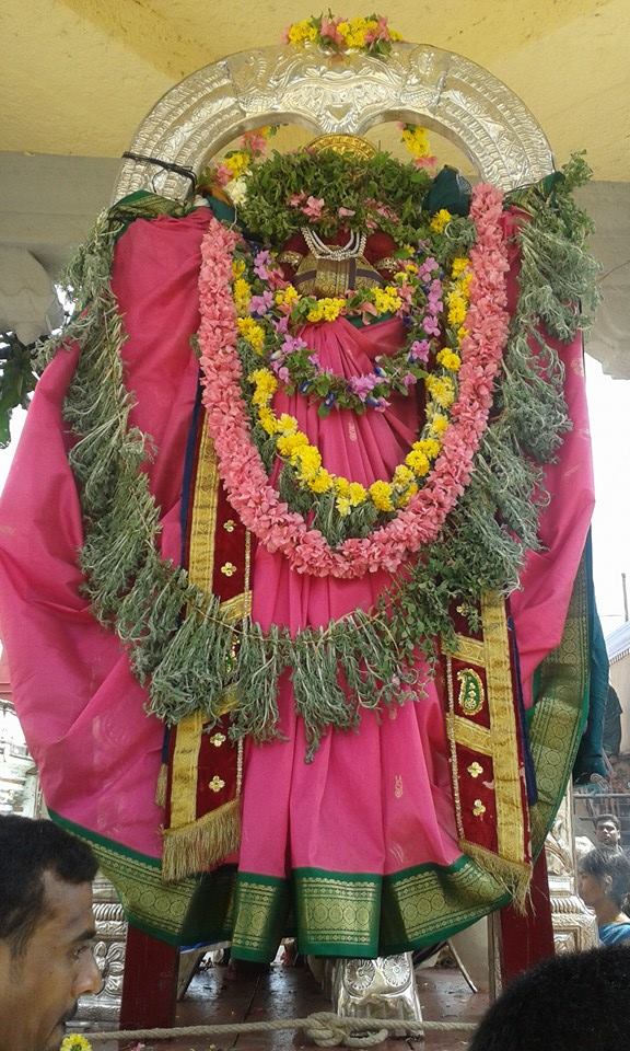 PV Kalathur Sri Lakshmi Narasimha Perumal Temple Rathasapthami Purappadu 2015-16