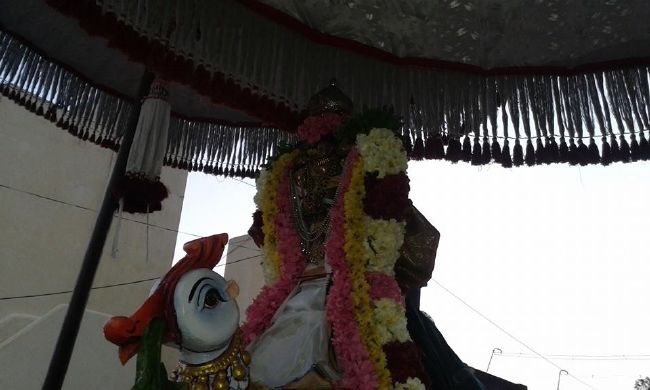 PV Kalathur Sri Lakshmi Narasimha Perumal Temple Rathasapthami Purappadu 2015-21