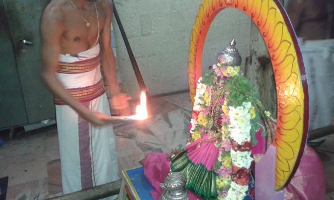 PV Kalathur Sri Lakshmi Narasimha Perumal Temple Rathasapthami Purappadu 2015-23