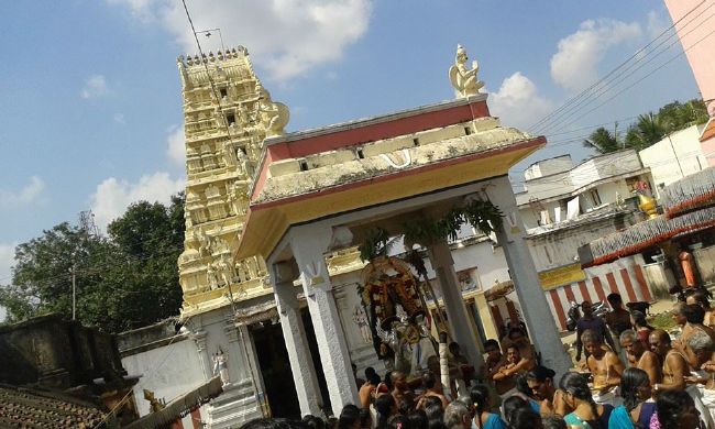 PV Kalathur Sri Lakshmi Narasimha Perumal Temple Rathasapthami Purappadu 2015-24