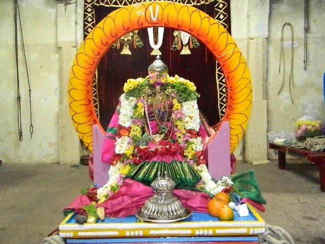 PV Kalathur Sri Lakshmi Narasimha Perumal Temple Rathasapthami Purappadu 2015-30