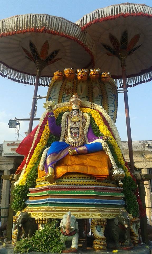 Palayamkottai Sri Vedhanarayanan Azhagiyamannar Sri Rajagopalaswami  Temple Rathasapthami Purappadu 2015-07
