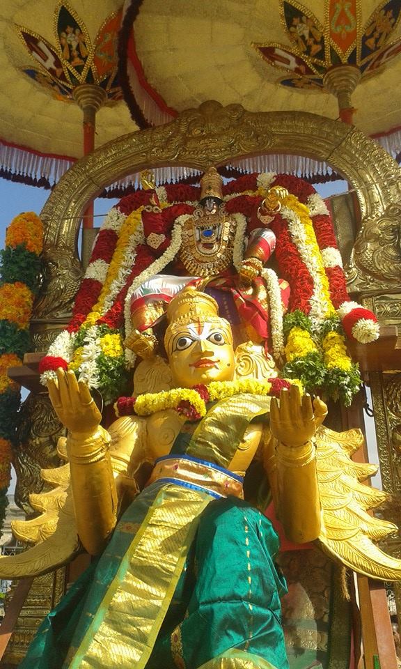 Palayamkottai Sri Vedhanarayanan Azhagiyamannar Sri Rajagopalaswami  Temple Rathasapthami Purappadu 2015-08