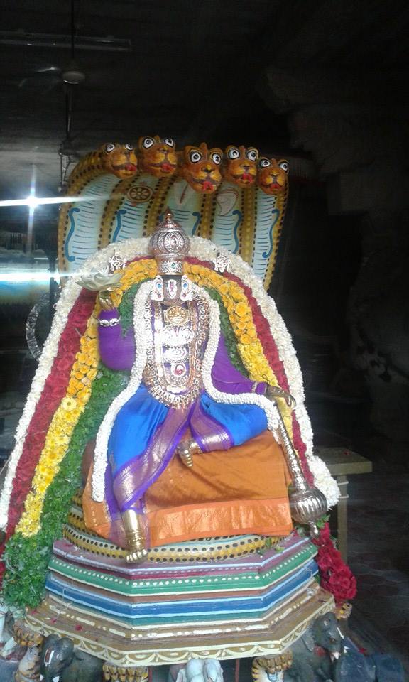 Palayamkottai Sri Vedhanarayanan Azhagiyamannar Sri Rajagopalaswami  Temple Rathasapthami Purappadu 2015-10