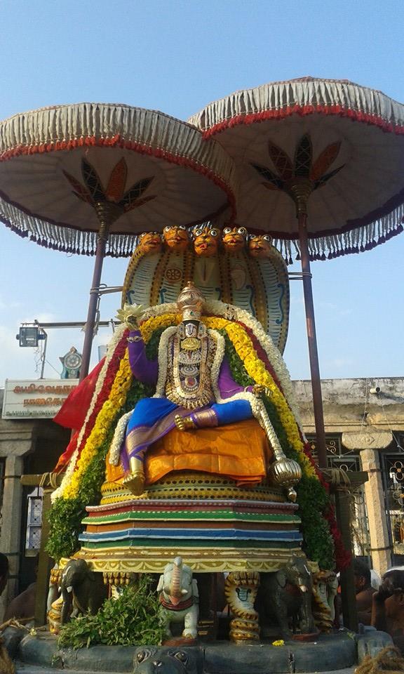 Palayamkottai Sri Vedhanarayanan Azhagiyamannar Sri Rajagopalaswami  Temple Rathasapthami Purappadu 2015-18