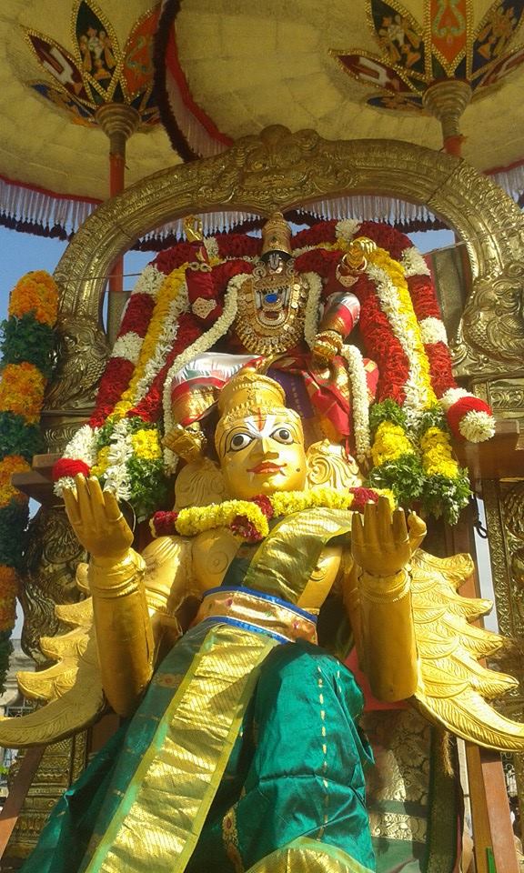 Palayamkottai Sri Vedhanarayanan Azhagiyamannar Sri Rajagopalaswami  Temple Rathasapthami Purappadu 2015-22