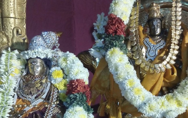 Perunagaluthur Sri Mahasudharshana Yagyam angurarpanam 2015-01