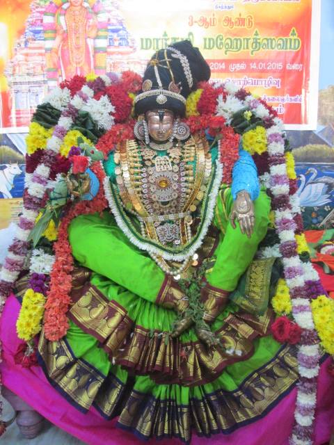 Pondicherry Sri Srinivasa Perumal Sannadhi Pagal Pathu day 10 2014-07