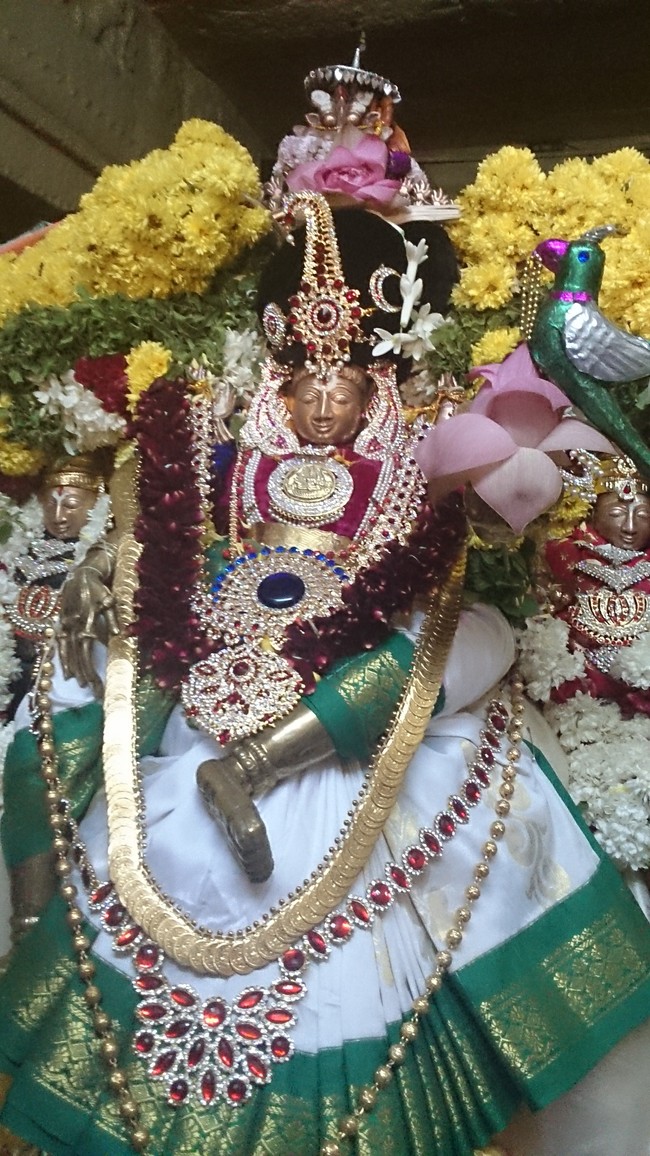Punjai Puliampatti kari varadaraja perumal temple vaikunda ekadasi  2015-11