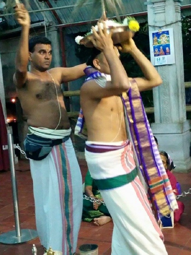 Selaiyur Ahobila Mutt Sri Lakshmi Narasimhar Sannidhi Sri Andal Thirukalyana Utsavam8