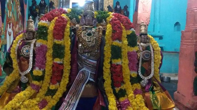 Serangulam sri venkatachalapathi temple Mahasankaranthi Purappadu 2015-1