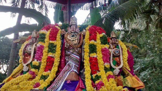 Serangulam sri venkatachalapathi temple Mahasankaranthi Purappadu 2015-3