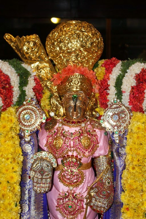 Sree Thirumalagiri Lakshmi Venkateswara Swamy Temple Samoohika Kalyana utsavam 2014-02