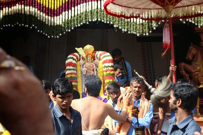 Sree Thirumalagiri Lakshmi Venkateswara Swamy Temple Samoohika Kalyana utsavam 2014-13