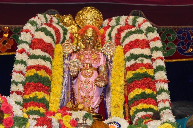 Sree Thirumalagiri Lakshmi Venkateswara Swamy Temple Samoohika Kalyana utsavam 2014-23