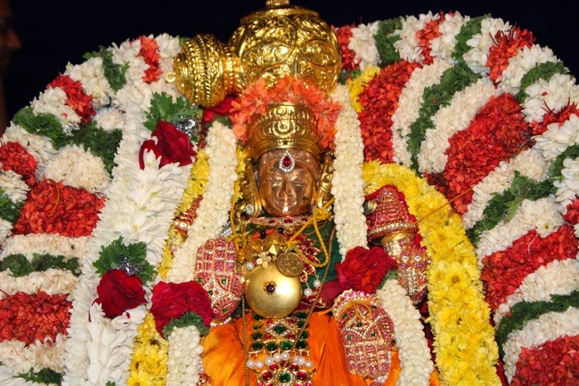 Sree Thirumalagiri Lakshmi Venkateswara Swamy Temple Samoohika Kalyana utsavam 2014-31