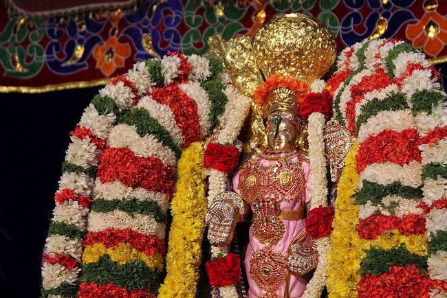 Sree Thirumalagiri Lakshmi Venkateswara Swamy Temple Samoohika Kalyana utsavam 2014-33