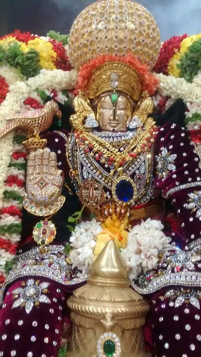 Sree Thirumalagiri Lakshmi Venkateswara Swamy Temple Samoohika Kalyana utsavam 2014-37