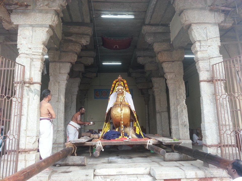 Sri veeraraghava perumal brahmostavam day 2 _8