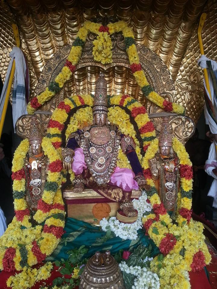 Sri veeraraghava perumal brahmostavam day 4_6