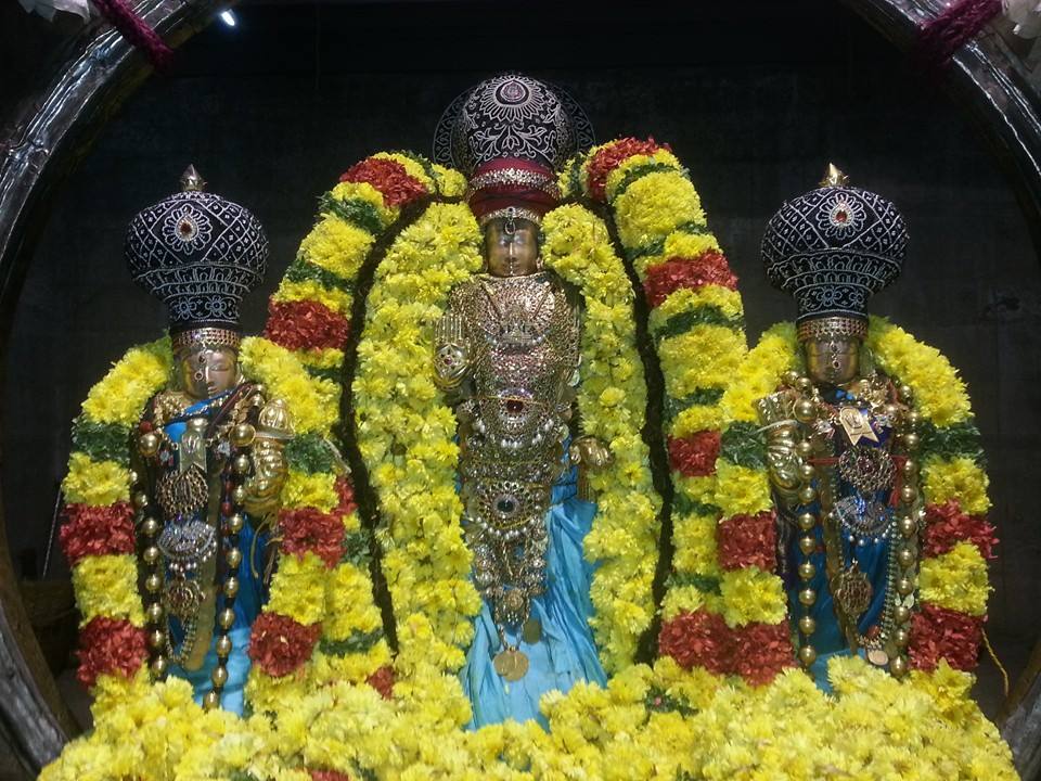 Sri veeraraghava perumal brahmostavam day 4_7