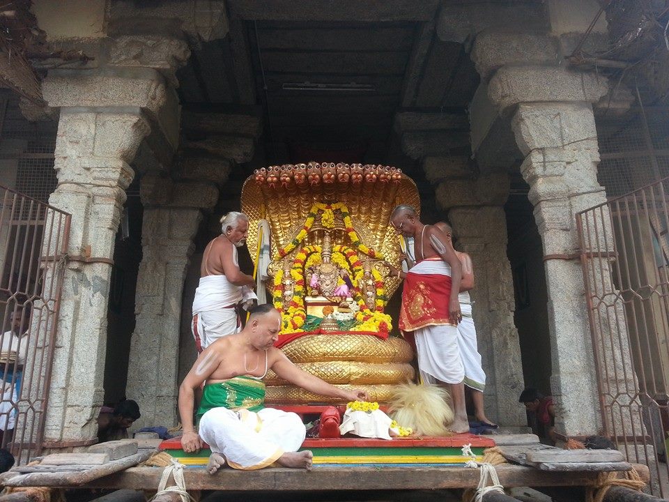 Sri veeraraghava perumal brahmostavam day 4_8