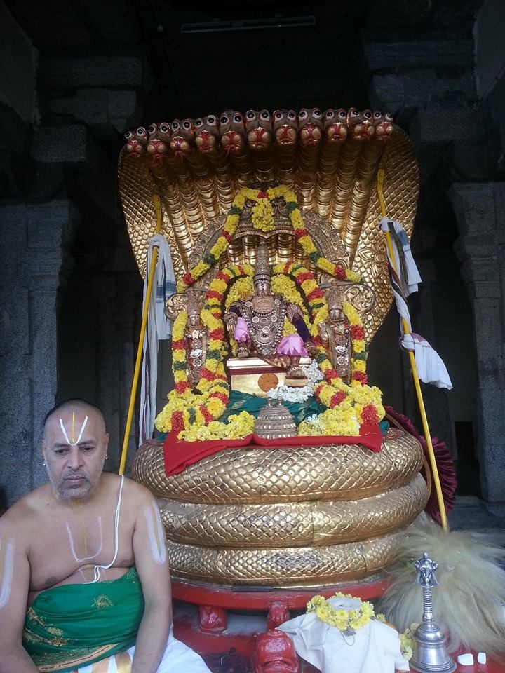 Sri veeraraghava perumal brahmostavam day 4_9
