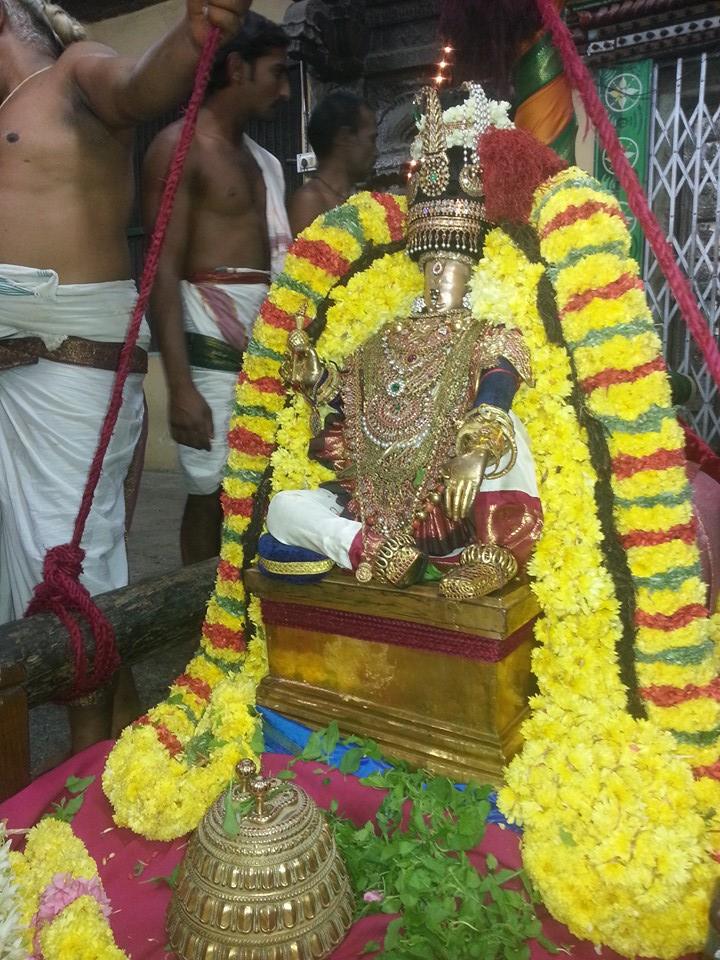 Sri veeraraghava perumal brahmostavam day 5_2